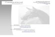 Pressedienst BADEN-WÜRTTEMBERG e.V. · Der Pferdesport hat sich in diesen zweieinhalb Jahrzehnten sehr gewandelt ... Zugunsten von Bad Sooden-Allendorf Pferdesteuer-Urteil: FN …