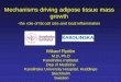 Mechanisms driving adipose tissue mass growth - … · Mechanisms driving adipose tissue mass growth -the role of fat cell size and local inflammation Mikael Rydén M.D, Ph.D Karolinska