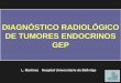 DIAGNÓSTICO RADIOLÓGICO DE TUMORES … · Todos los Tm del sistema endocrino difuso, ... Tumor invade mucosa o submucosa y 1 cm T2: ... Diapositiva 1 Author: