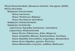 Phyla Hemichordata (Gusanos bellota) Zaragoza (2000) vertebrados.pdf · Sistema ciculatorio ... •Riñón •Sistema endocrino . Principales grupos de Vertebrados •Vertebrados