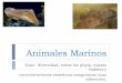 Animales Marinos - Departamento de Investigación y ... · Invertebrados Marinos Isosmóticos! ... teleósteos marinos es un mecanismo confiable, y estos animales limitan su volumen