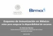 Esquema de Inmunización en México - dcvmn.org · Uno de los hitos de la vacunación en México . Para lograr estos éxitos, se necesita ... el desarrollo de innovaciones y el acceso