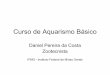 Curso de Aquarismo Básico - peixebetta.net · Curso de Aquarismo Básico Daniel Pereira da Costa Zootecnista IFMG - Instituto Federal de Minas Gerais