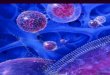 LOS LÍPIDOS€¦ · Temperatura Metabolismo Membranas celulares 1g de grasa proporciona 9,4 Kcal Las ceras impermeabilizan Transportan sustancias en ... espacial de los radicales