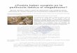 ¿Podría haber surgido en la península ibérica el …atlantisng.com/.../Los-megalitos-Iberia-los-mas-antiguos-de-Europa.pdf · obtenidas en niveles basales de monumentos megalíticos