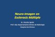 Neuro-Imagen en Esclerosis Múltipleneurologiauruguay.org/home/images/neuro-imagen-em.pdf · – Búsqueda de diagnósticos diferenciales – Como factor predictivo del pronóstico