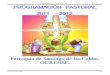 Programación Pastoral 2011-2012 - Ourense · • Potenciar los grupos de monaguillos, fomentado el despertar vocacional. Párroco y Del. Vocaciones. OBJETIVO ESPECÍFICO 3º: ACCIÓN