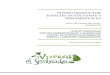 VIVERO PRODUCTOR ESPECIES AUTÓCTONAS Y ORNAMENTALEScaritasespanola.org/.../Listado_flores-plante-ornamentall_24.04.14.pdf · vivero productor especies autÓctonas y ornamentales