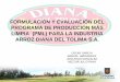 FORMULACIÓN Y EVALUACIÓN DEL PROGRAMA … · Limpia para la industria Arroz Diana del Tolima. ... Mejoramiento del proceso de combustión de cascarilla de arroz para ser utilizado