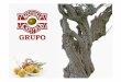 Grupo Cazorla NUEVO 1 [Modo de compatibilidad]“… · verdes y encurtidos … Aceitunas verdes.  volumen de negocio Empresa Aceitunas Cazorla 75.275.000 