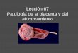 Lección 67 Patología de la placenta y del alumbramiento€¦ · tiene una placenta previa NO oclusiva insertada en la cara posterior. Usted le avisará de que en el curso del embarazo