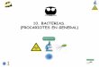 10. BACTERIAS. (PROCARIOTES EN GENERAL)depa.fquim.unam.mx/microbio/1410MG-06/T-Presentaciones/Tema10/… · Microorganismos procariotes, ... Volumen I 1984. Bacterias Gram negativas