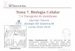 Tema 7. Biología Celular - dpbiologia.weebly.comdpbiologia.weebly.com/uploads/2/1/5/5/21553524/gtp_t7.biología... · ¿Qué vamos a aprender? La membrana celular es semipermeables