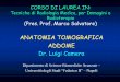 ANATOMIA TOMOGRAFICA ADDOME Dr. Luigi Cameratrmir.stidue.net/Anno2/Anno2Semestre1/Camera/PdfLezioni... · Anatomia • Le vie biliari intra-epatiche convergono dalla periferia del