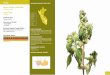 UBICACIÓN DEL RECURSO / RESOURCE LOCATION · 16 Lima 02 03 12 08 10 16 Fuente: MINAG- DGPA Cultivos 50 / 51. TARA Nombre Científico / Scientific Name: Caesalpinia spinosa (Mol.)