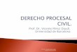 Prof. Dr. Vicente Pérez Daudí. Universidad de Barcelonadiposit.ub.edu/dspace/bitstream/2445/51524/1/DPC Bloque 1.pdf · Artículo 1 LECRIM. [Principio de legalidad procesal penal]