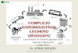 COMPLEJO AGROINDUSTRIAL LECHERO URUGUAYO · ¿que tamaÑo tienen? 1. catedra de produccion de bovinos de leche 31 ... •incremento en la escala de transporte y ... catedra de produccion
