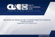 INFORME DE TRABAJO DEL COMITÉ DIRECTIVO …panbcs.org/nuevo/wp-content/uploads/2016/09/PRIMER-INFORME... · Primer Informe Semestral Para hacer mas efectivos los trabajos del CDE,