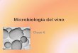Microbiología del vino - Páginas Web Educativas :: Iniciosgpwe.izt.uam.mx/.../clase_7microbiologia_del_viino_2011-O.pdf · •La transformación o elaboración del mosto lleva dos