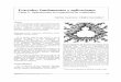 Fractales: fundamentos y aplicacioneseprints.uanl.mx/10048/1/12_Carlos_Guerrero_Fractales.pdf · Fractales: fundamentos y aplicaciones ... estructuras dendríticas mediante análisis