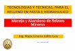 Manejo y Abandono de Relaves Mineros - monografias.com · 500m3/h y presiones de transporte de hasta 130 bar. ... Las características más importantes de los sólidos que influyen