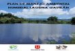  · Plan de Manejo Ambiental (PMA) Humedal Laguna Gavilán 2 República de Colombia MINISTERIO DE AMBIENTE Y DESARROLLO SOSTENIBLE Corporación Autónoma Regional del Tolima, CORTOLIM