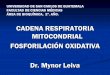 CADENA RESPIRATORIA MITOCONDRIAL … · Puede haber acoplamiento directo al NAD de la Cadena Respiratoria. ... fosforilación de ADP + Pi. ATP sintasa: subcomplejo F0 giratorio y