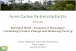 Forest Carbon Partnership Facility · Forest Carbon Partnership Facility ... Garifunas) • Authonomy of Costa Caribbe Law ... Subsistence agricultura and cattle ranching