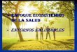 ENFOQUE ECOSISTEMICO DE LA SALUD - …estomatologia.weebly.com/uploads/8/0/2/1/80214678/enfoque... · de la salud humana, considerando los factores sociales, económicos y culturales