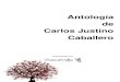 Antología de Carlos Justino Caballero - poemas-del … · por las sombras de las mariposas blancas que los acompañan, las que no murieron con el tiempo. Y corrieron a buscarlos