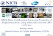NICB-Pfizer Collaboration: Improving Production of ...crdi.ie/uploads/files/PDoolan_Pfizer_NICB_Collaboration.pdf · NICB-Pfizer Collaboration: Improving Production of Biopharmaceuticals