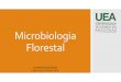 Microbiologia Florestal - .â€¢ Microbiologia ambiental â€¢ Microbiologia de alimentos â€¢ Microbiologia