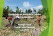 Sustentabilidade Ambiental e Trabalho Digno na Agricultura · Promoção da agricultura sustentável e do trabalho digno na agricultura. A OIT e as alterações climáticas: ... PowerPoint