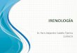 Dr. Paris Alejandro Cabello Tijerina 11/04/13eprints.uanl.mx/11494/1/IRENOLOGÍA.pdf · tanto económica como social. ... • Una antropología nueva y renovada que pone su confianza