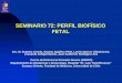 SEMINARIO 72: PERFIL BIOFÍSICO FETAL - CERPO … · Perfil Biofisico Fetal ILA Eco Doppler No Invasivos ... Introducido en la práctica clínica por Manning en ... APGAR bajos (