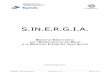 SINERGIA - Manuale Operativo · SINERGIA – Manuale Operativo S.IN.E.R.G.I.A. 2.5 Pagina 3 di 26 INDICE DELLE FIGURE Figura 1- SINERGIA : Form iniziale dopo installazione Procedura