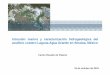 Intrusión marina y caracterización hidrogeológica del ...³n... · • Registros geofísicos de pozos 3. Métodos directos • Perfiles de salinidad en pozos y piezómetros Distancia