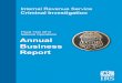 IRS-CI Fiscal Year 2013 Annual Business Report · IRS-CI Fiscal Year 2013 Annual Business Report Table of Contents: Chief’s Message . 1 Accomplishments 2 ... 18 Gaming . 20 Insurance