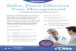 Safer, More Effective Pain Management · Title: Safer, More Effective Pain Management Author: U.S. Department of Health and Human services Subject: Safer, More Effective Pain Management