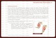 Anatomía humana I - krismar-educa.com.mx€¦Es el conjunto de músculos del cuerpo y forma la parte activa del aparato locomotor. Los músculos gozan de actividad propia, que llevan