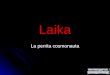 [PPT]Laika · Web viewLaika La perrita cosmonauta Laika, la perrita cosmonauta Laika fue recogida cuando vagaba por las calles de Moscú, Rusia, para investigar con ella los efectos