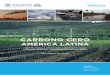 CARBONO CERO - pnuma.org Carbon_ES_05.pdf · Tabla 0.1 Lista de plantas hidroeléctricas en América Latina y el Caribe con una capacidad >1000MW/1GW .....91 Tabla 0.2 Costos proyectados