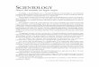 SCIENTOLOGY - f.edgesuite.netf.edgesuite.net/.../files/booklets/marriage-es.pdf · Fundada y desarrollada por L. Ronald Hubbard, Scientology es una filosofía ... pierde en apuestas