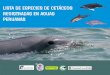 Lista de Especies de Cetáceos Registradas en Aguas ... · La riqueza en especies y ecosistemas que hace del Perú ... ESPECIE NOMBRES COMUNES IMAGEN ... Bufeo colorado, delfín rosado