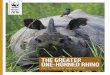 THE GREATER ONE-HORNED RHINO - WWF-Indiaawsassets.wwfindia.org/downloads/the_greater_one_horned_rhino_p… · The greater one-horned rhino 5 We remember all the brave people who have