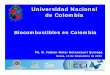 Universidad Nacional de Colombia · Flujo mundial de petróleo Fuente: UNDP, UNDESA, WEC, 2002 ... rurales y fuente de energía en aldeas alejadas. ... FUENTES ALTERNAS DE ENERGIA