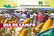 DIA DE CAMPO - Copercampos€¦ · coleta de resultados do novo fertilizante. “A Copercampos realiza contínuas ... Brasil alcançou a marca recorde de 30,3 milhões de hectares