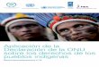 Aplicación de la Declaración de la ONU sobre los …archive.ipu.org/PDF/publications/indigenous-sp.pdf · Todos los derechos reservados. Está prohibido reproducir, almacenar en