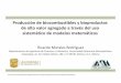 Ml RdíR odríguezsgpwe.izt.uam.mx/.../Seminario_Univ_de_Guanajuato.pdf · 2013-10-14 · Marco conceptual para el modelado de biocombustibles y ... Formular la estructura del modelo