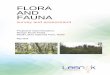 FLORA AND FAUNA - NSW Environment & Heritage · A terrestrial flora and vertebrate fauna investigation has been conducted within, adjacent to and beyond the limits of a 3.2-kilometre-long